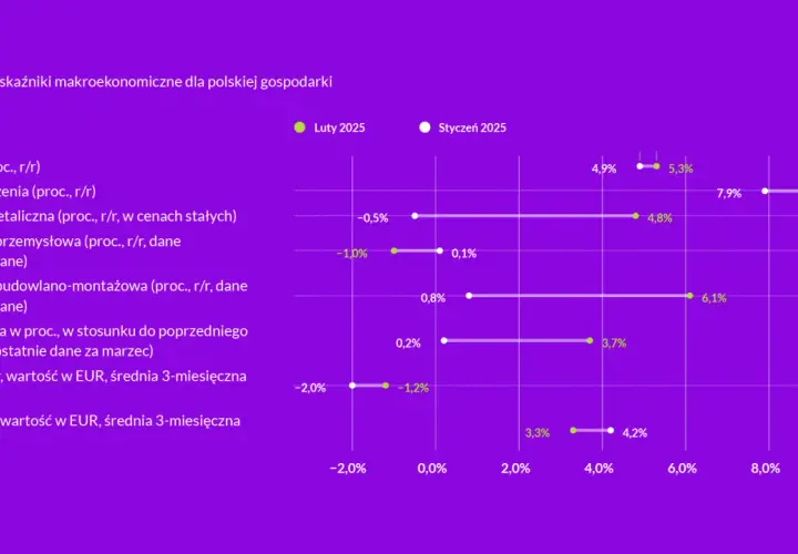 Wykres pokazuje wzrosty i spadki kluczowych wskaźników gospodarczych Polski w lutym i styczniu 2025. Widoczna jest zwyżka kursu akcji na giełdzie, odzwierciedlona w danych o eksporcie i produkcji.