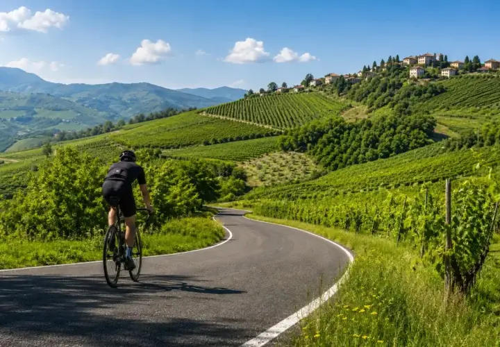 Ciclista su strada panoramica tra vigneti rigogliosi, esplorando i **percorsi ad anello Oltrepò Pavese**.