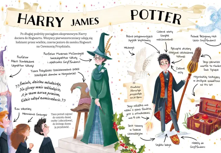 Ilustracja z książek o Harrym Potterze: Harry, Hedwiga, Dumbledore, McGonagall, Ron, Hermiona i Tiara Przydziału.
