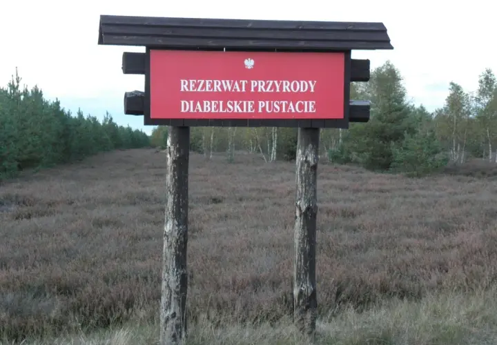 Rezerwat przyrody Diabelskie Pustacie - piękno wrzosowisk i szlaków