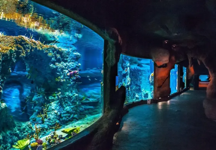 Oceanarium Świnoujście - co warto wiedzieć przed wizytą?