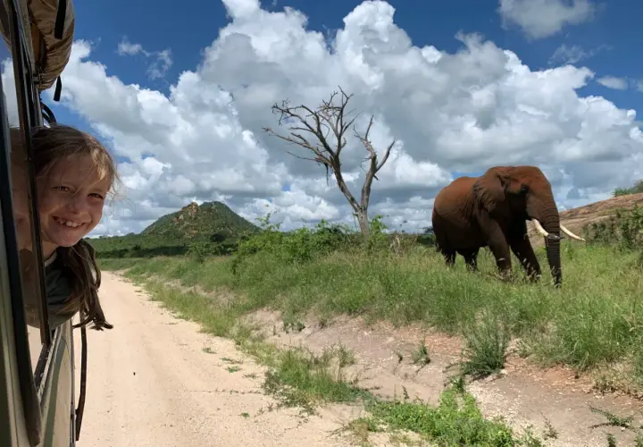 Bambina sorridente sporge dal finestrino di un fuoristrada in Kenya, mentre un elefante cammina nella savana.