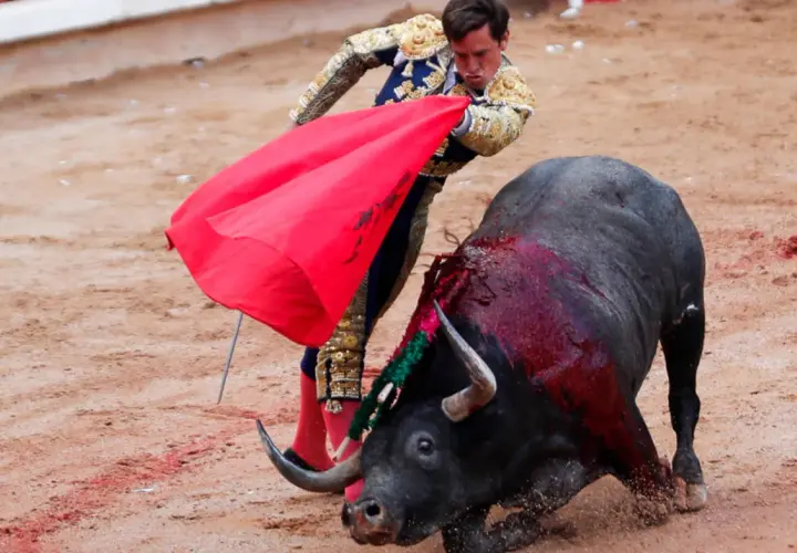 Un torero con traje de luces se enfrenta a un toro ensangrentado, evocando el origen de la tauromaquia.