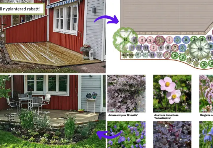 Från idé till nyplanterad rabatt! En trädgårdsplan visar hur man kan planera en rabatt med olika växter.
