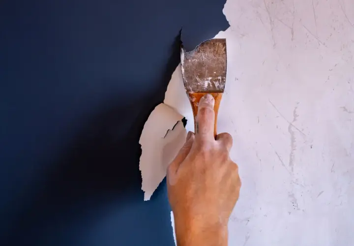 Hand schabt mit einem Spachtel die alte Farbe ab. Der Prozess, Farbe entfernen, beginnt.