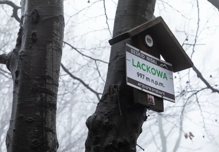 Tabliczka na drzewie w Beskidzie Niskim informuje o szczycie Lackowa (997 m n.p.m.). Mglisty las tworzy atmosferę jak na lackowa ściana płaczu.