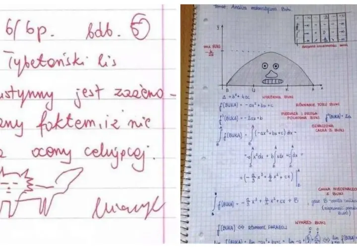 Zapiski z analizy matematycznej z zabawnym rysunkiem lisa i wykresem funkcji. Może to być inspiracja na 100 ciętych ripost!