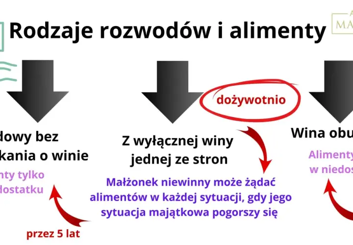 Rozwód z winy obu stron a alimenty: schemat pokazuje rodzaje rozwodów i zasady alimentacji. Wina obu stron może oznaczać alimenty tylko w niedostatku przez 5 lat.