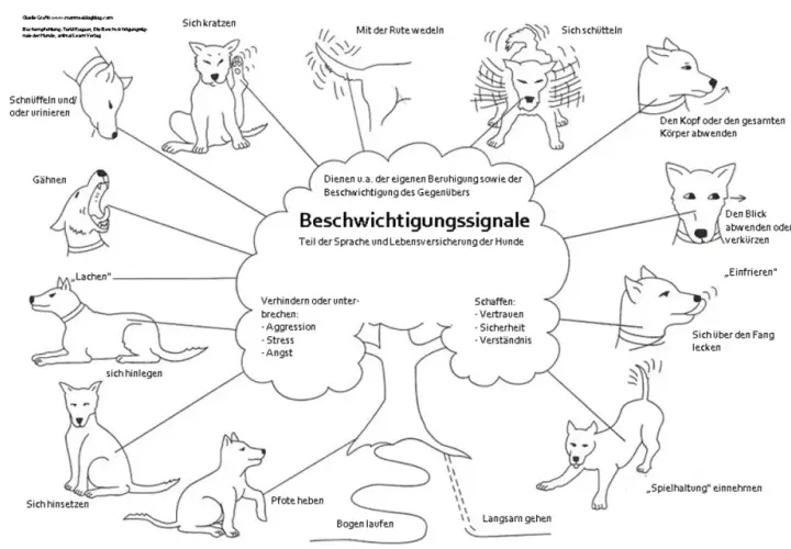 Schema zeigt verschiedene **Hund Zeichen** für Beschwichtigungssignale, wie Gähnen, Kopf abwenden oder sich schütteln.