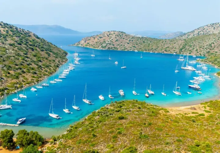 Zatoka pełna żaglówek i jachtów, z zielonymi wzgórzami w tle. Idealne miejsce na wakacje, niedaleko Bodrum lotnisko.