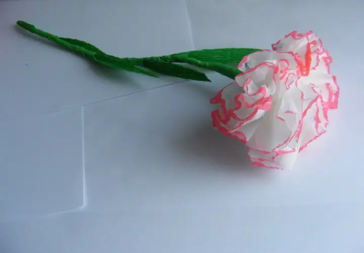 Delikatne kwiaty z papieru toaletowego, białe z różowymi brzegami, na zielonej łodyżce.
