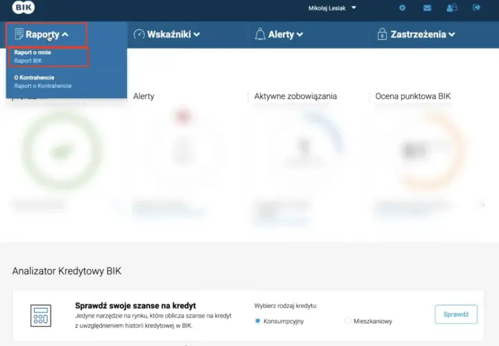 Menu "Raporty" z rozwiniętą opcją "Raport BIK".
