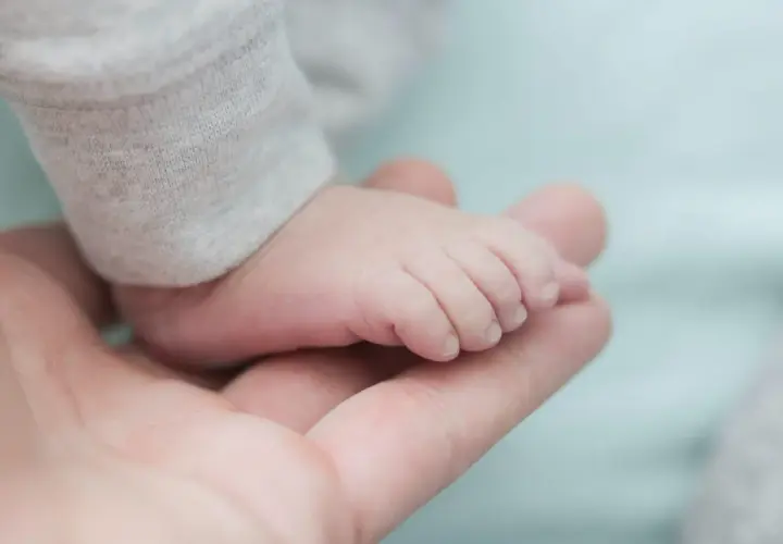 Piede di neonato maschio su mano adulta. Un piccolo tesoro da confrontare con la tabella percentili neonato maschio.