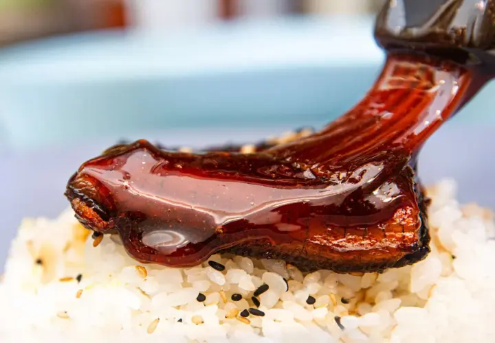 A glossy, dark eel sauce is drizzled over grilled eel on a bed of white rice. The sauce is rich and savory, with a hint of sweetness, making you wonder what does eel sauce taste like.