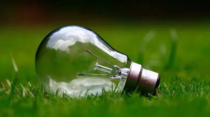 Jak prawidłowo wyrzucić zużytą żarówkę? Poradnik recyklingu
