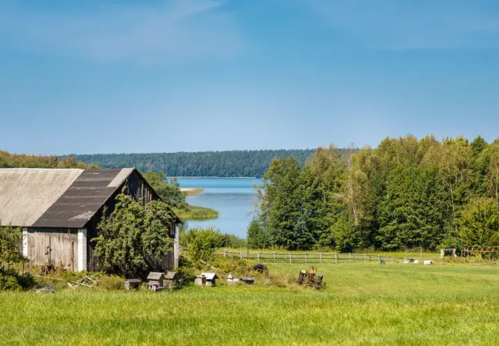 Działka rolno budowlana nad jeziorem, z drewnianą stodołą, pasieką i starym traktorem.