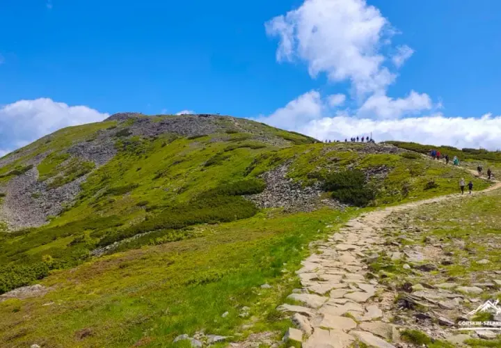 Babia Góra 1725 m n.p.m.: Szlaki, pogoda, bezpieczeństwo. Gotowy na szczyt?