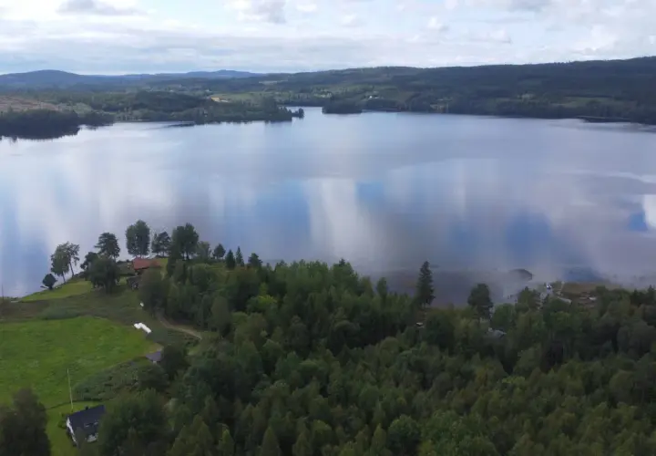 Spokojny finlandia krajobraz z jeziorem odbijającym chmury, otoczony lasami i zielonymi polami z kilkoma domkami.