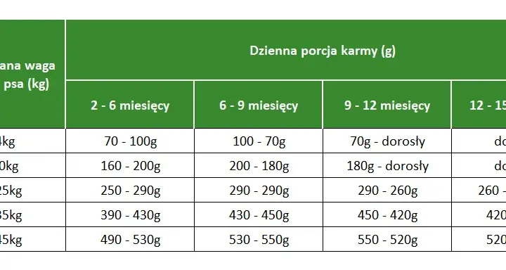 Co powinny jeść szczeniaki husky? Dieta, składniki i częstotliwość karmienia