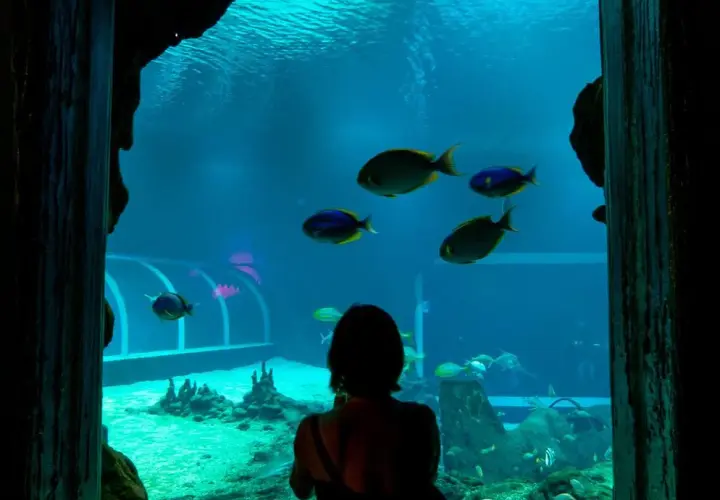 Bilety do oceanarium w Łodzi: ceny, zniżki i jak kupić online