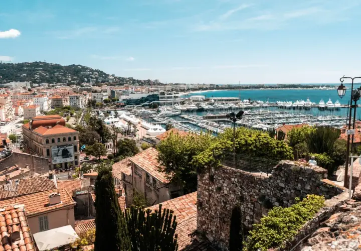 Widok na port w Cannes z licznymi jachtami i budynkami. W oddali wzgórza porośnięte zielenią.