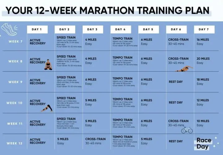 Plan treningowy na 12 tygodni do maratonu, pokazujący jak biegać: dni z aktywną regeneracją, treningi szybkościowe, tempowe, cross-training i dni odpoczynku.