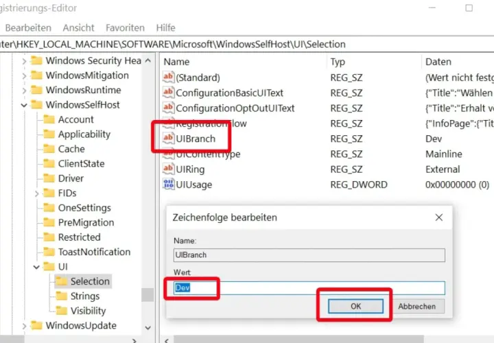 Bearbeiten des Windows 11 Registry-Eintrags "UIBranch" auf "Dev" im Registrierungs-Editor.