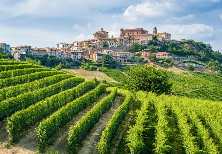 Colline verdi con vigneti rigogliosi e un borgo storico in cima. Un assaggio di cosa vedere a Voghera, tra paesaggi mozzafiato e storia.