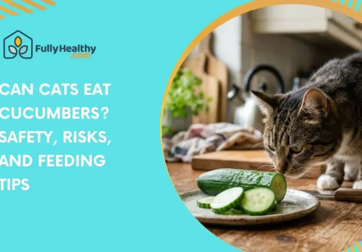 A tabby cat sniffs sliced cucumbers on a plate, questioning if cats can eat cucumbers. Safety, risks, and feeding tips are discussed.