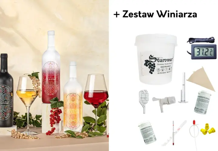 Butelki z winem i kieliszki z owocami, obok zestaw winiarza. Dowiedz się, jakie owoce najlepiej nadają się na domowe wino poza winogronami.