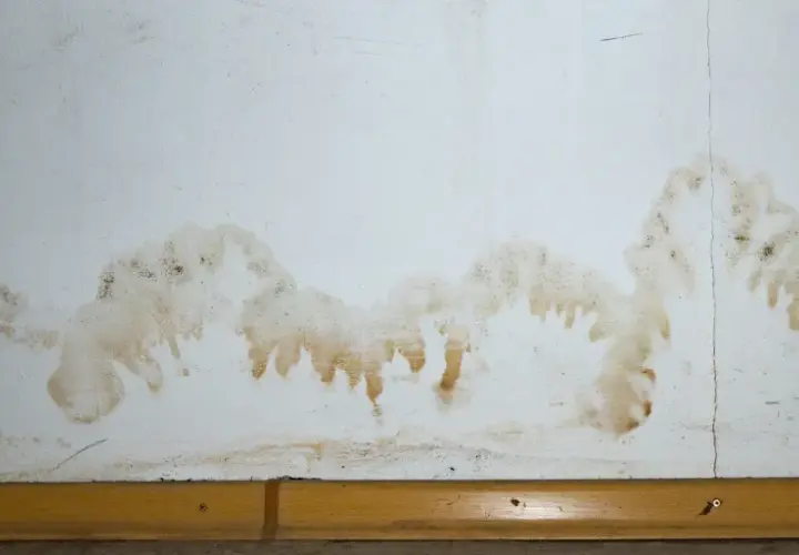 Braune Flecken und Schimmel an der weißen Wand deuten auf einen Wasserschaden hin. Was tun? Sofort handeln!