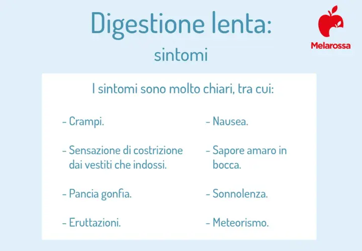 Sintomi di digestione lenta: crampi, nausea, pancia gonfia, sonnolenza e meteorismo.