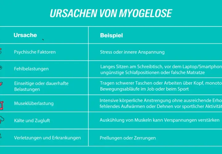 Tabelle mit Ursachen von Myogelose: Psychische Faktoren, Fehlbelastungen, einseitige Belastungen, Muskelüberlastung, Kälte/Zugluft, Verletzungen. Muskelüberlastung kann zu einem verklebten Muskel führen.