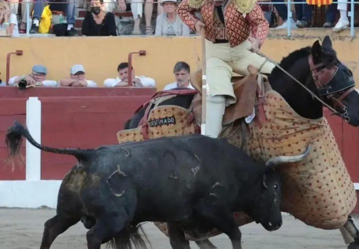 Un picador a caballo se enfrenta a un toro negro de la ganadería Raso de Portillo. El toro tiene marcas en el lomo.