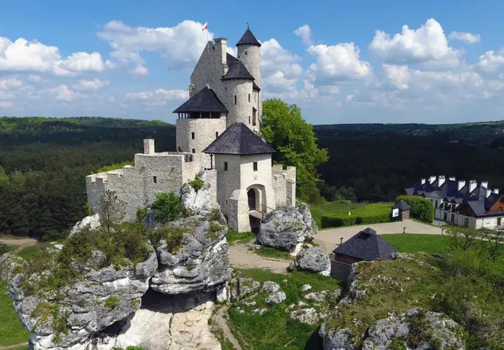 Zamek na skale w krajobrazie Jury Krakowsko-Częstochowskiej. W tle las i błękitne niebo z chmurami.