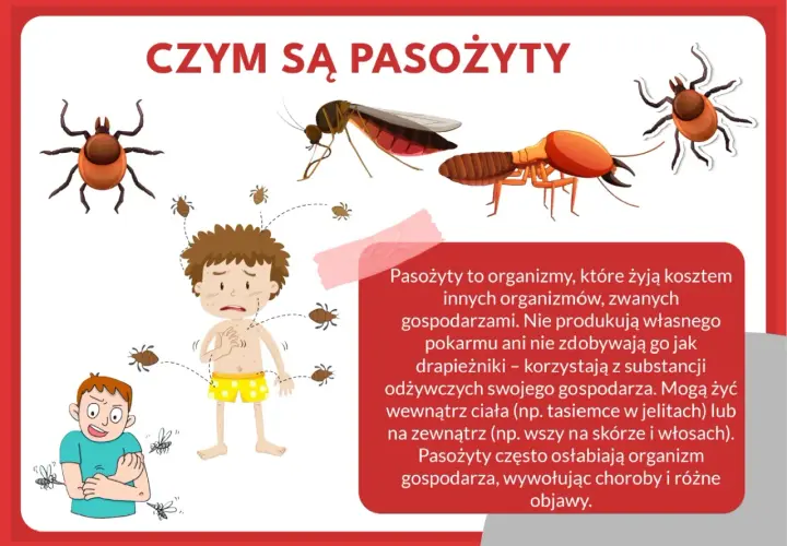Ilustracja pokazuje kleszcze, komary i inne **gzy owad**, które atakują przerażonego chłopca.