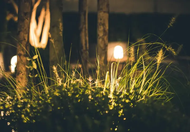 Nocne oświetlenie ogrodu inspiracje: trawy i krzewy rozświetlone ciepłym blaskiem lamp, tworząc magiczną atmosferę.