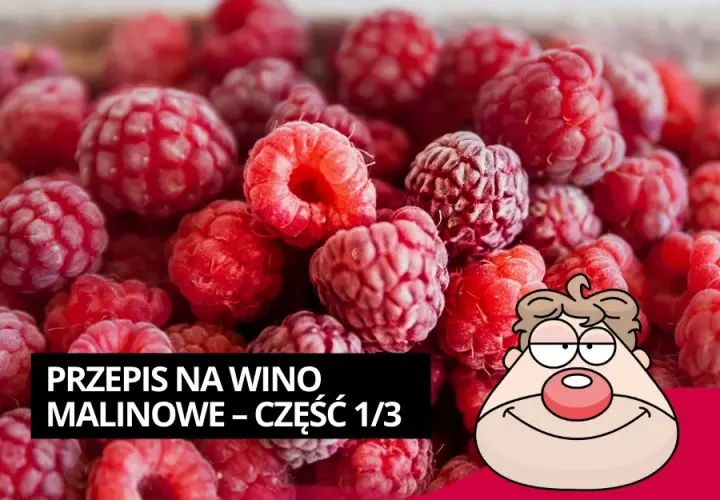 Jak zrobić wino z malin - prosty przepis na pyszne wino domowe