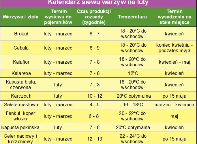 Kiedy siać warzywa do gruntu? Kalendarz siewu dla ogrodników