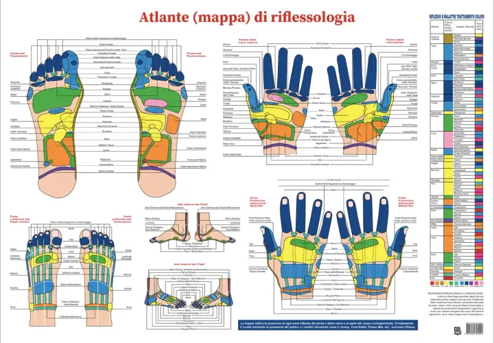 Mappa punti agopuntura mano e piedi, con zone riflesse e correlazioni corporee.