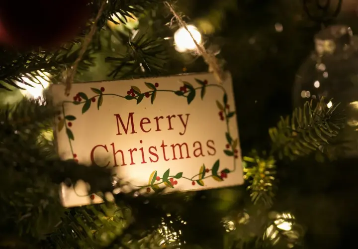 Un cartello appeso all'albero di Natale con la scritta "Merry Christmas" in inglese, circondato da lucine e rami.