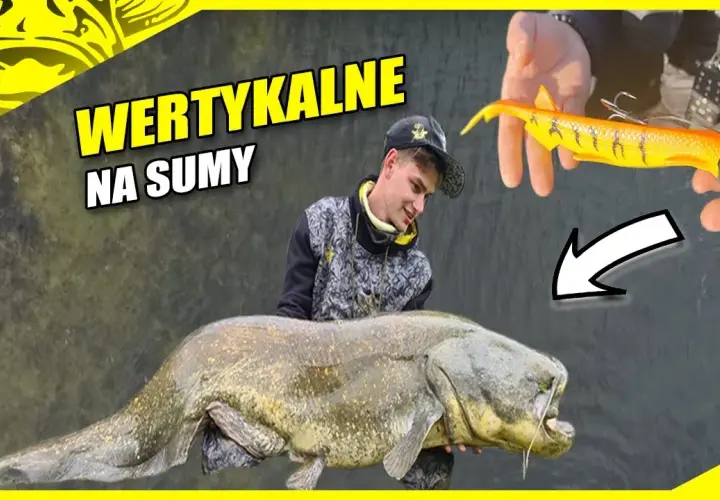 Przynęta na suma: Jak przechytrzyć "wąsatego króla"? Poradnik