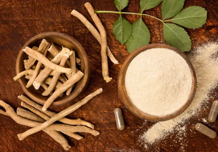 Radici, polvere e capsule di ashwagandha su fondo in legno, con foglie verdi. Ricerca e ashwagandha studi scientifici.