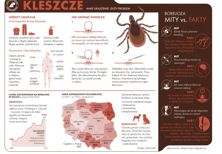 Jak rozpoznać kleszcza na skórze? Kluczowe cechy i różnice