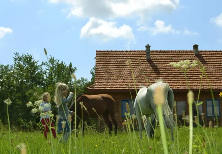 Dwie dziewczynki i dwa konie na łące przed drewnianym domkiem. Idealne miejsce na agroturystykę w Małopolsce.