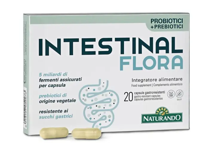 Medicamentos para la flora intestinal que mejoran tu salud digestiva
