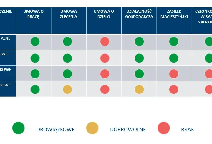Wynagrodzenie za praktyki: Kto płaci i jakie masz prawa?