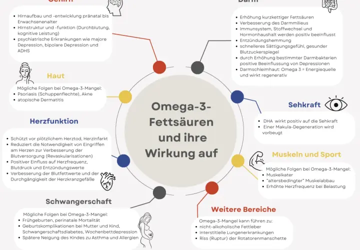 Omega-3-Fettsäuren wirken auf Gehirn, Haut, Herz, Darm, Sehkraft, Muskeln & Sport, Schwangerschaft. Die genaue Zeit, wie lange dauert es bis Omega-3 wirkt, variiert.