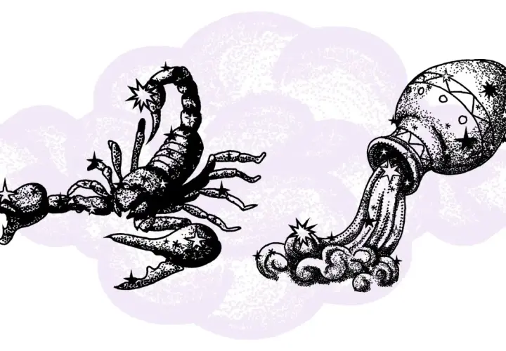 Skorpion i Wodnik - jak te znaki zodiaku się dogadują? Najważniejsze informacje