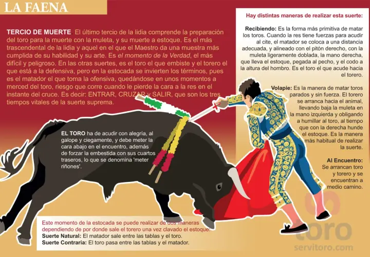 Un torero se prepara para la estocada final a un toro negro. A toro pasado todo son cuernos, pero el torero busca la suerte suprema.
